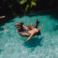 SPRAYGROUND® FLOATY SHARK STASH - POOL PARTY FLOATY