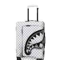 STORM FADE CARRY-ON LUGGAGE