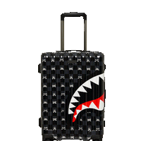 SPRAYGROUND® LUGGAGE GRAY PEEKING CHARACTER CHECK CARRY-ON LUGGAGE