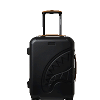 SPRAYGROUND® LUGGAGE HENNY JETSTREAM SHARKITECTURE CARRY-ON LUGGAGE