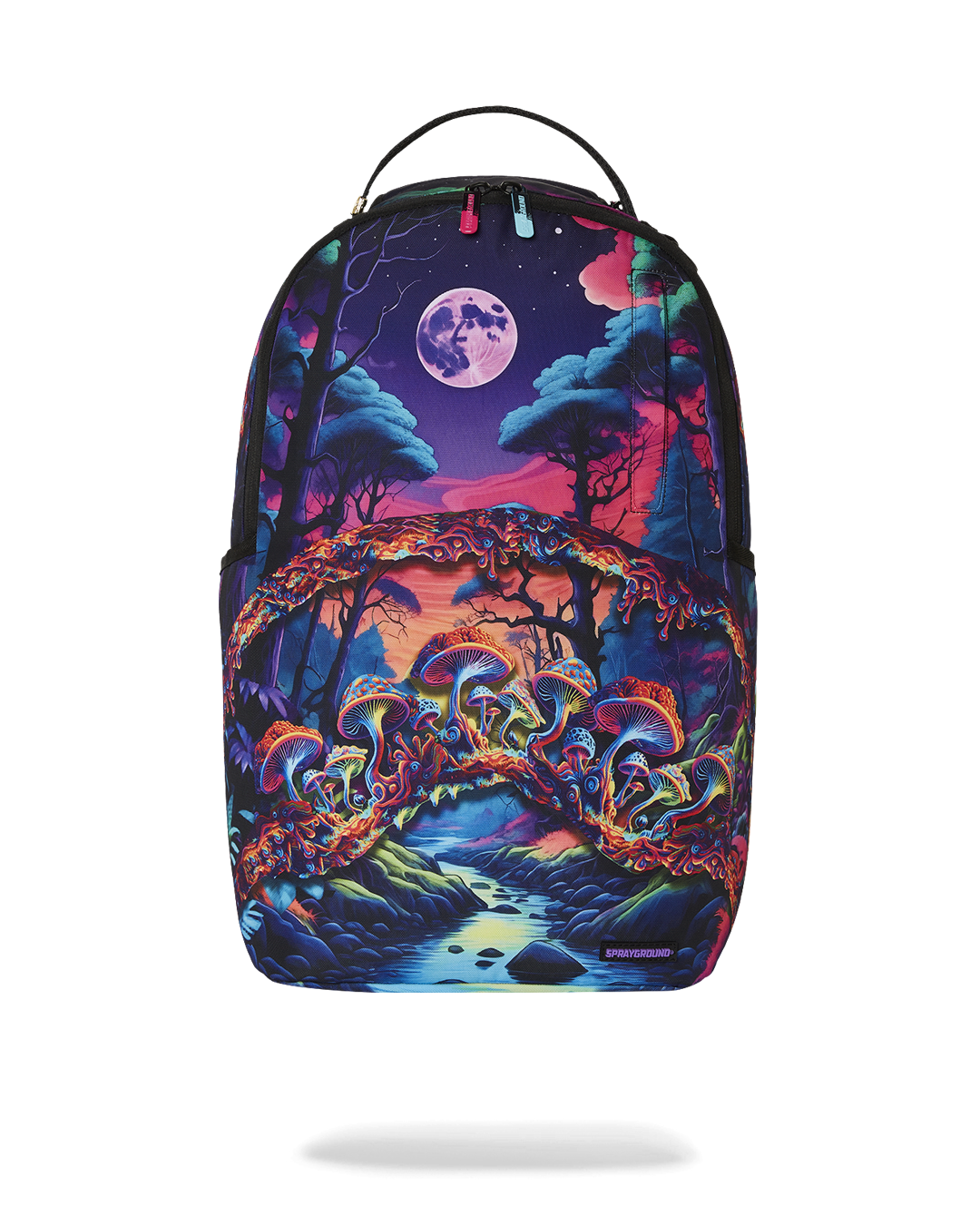 EARTHING DLXR BACKPACK – SPRAYGROUND®