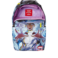 SPRAYGROUND® BACKPACK STORM MONEY