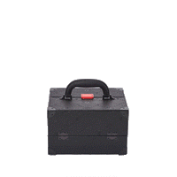 SPRAYGROUND® JEWELRY CASE 24/7 JEWELRY CASE