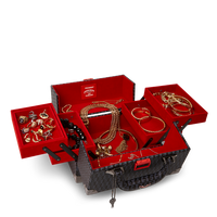 SPRAYGROUND® JEWELRY CASE SPRAYGATTI REVV JEWELRY CASE
