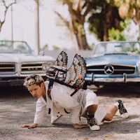 SPRAYGROUNDÂ® BACKPACK SCORCHING MONEY FEATHERS BACKPACK