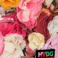 SPRAYGROUND® BACKPACK NYBG FLOWERS CLEAR BACKPACK