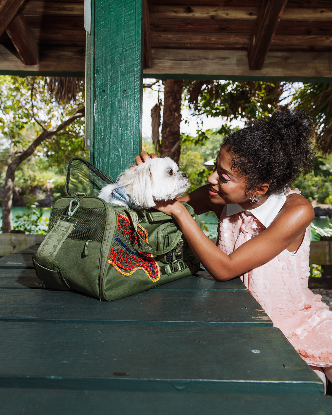 WON'T STOP TILL THE TOP PET CARRIER