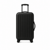 Luggage