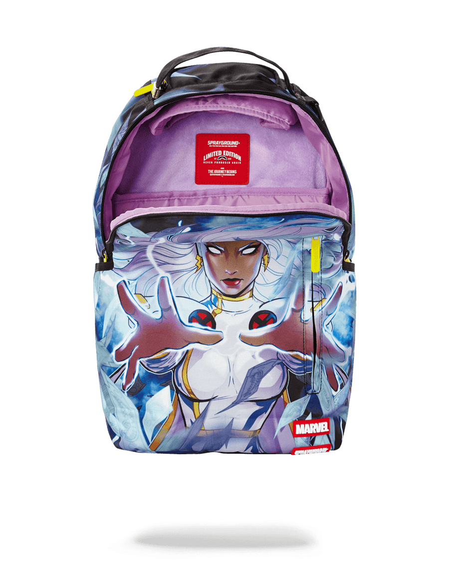 SPRAYGROUND® BACKPACK STORM MONEY