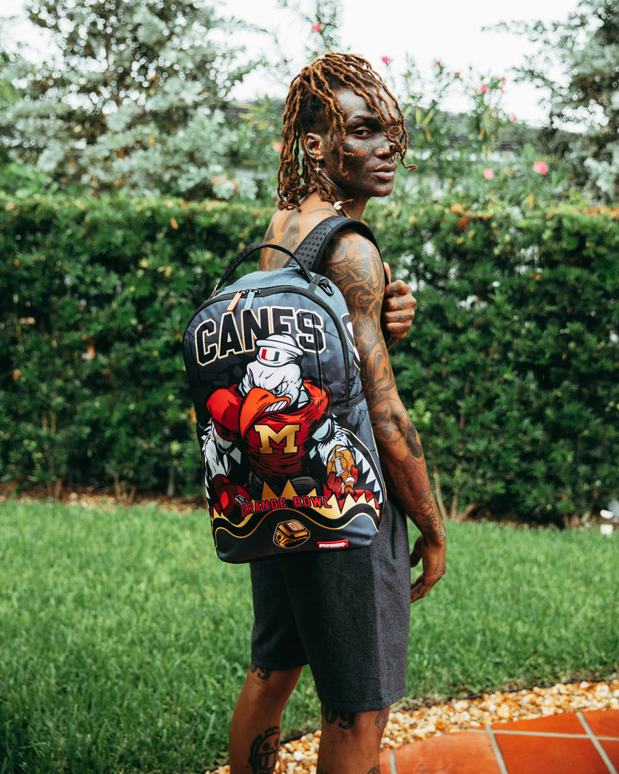University of on sale miami sprayground