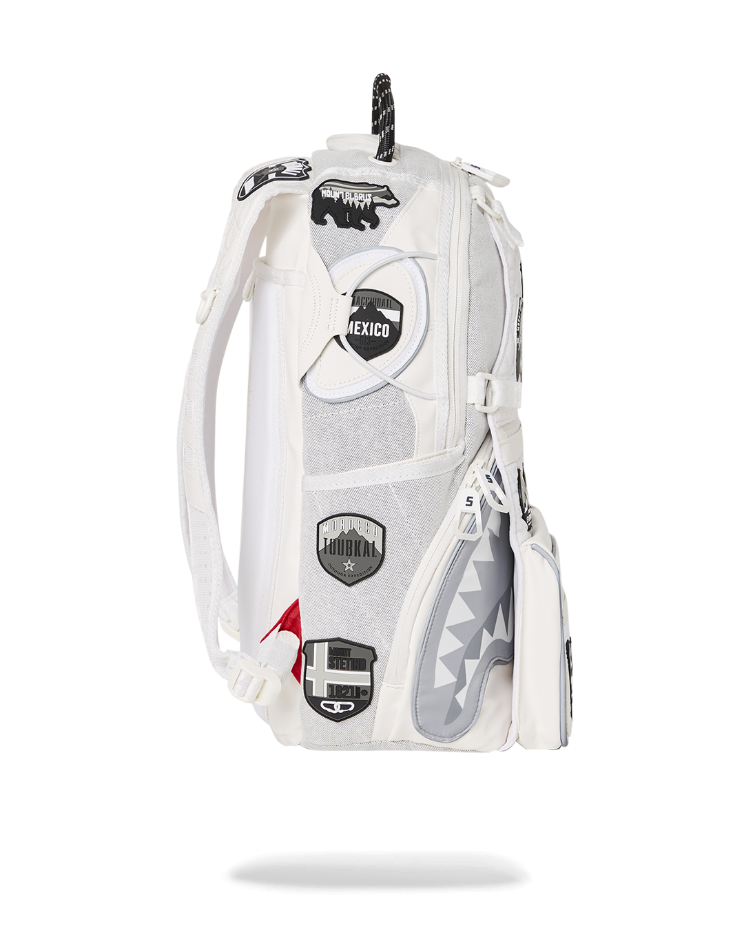 THE GLOBAL EXPEDITION SUBZERO BACKPACK – SPRAYGROUND®