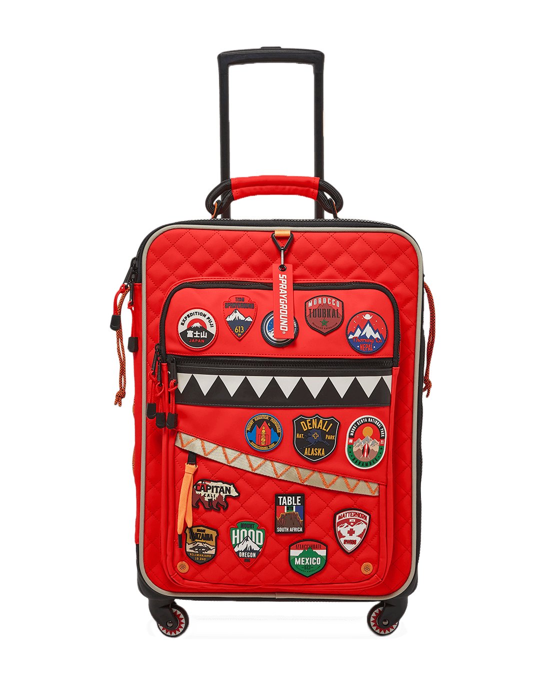 Expedition luggage online